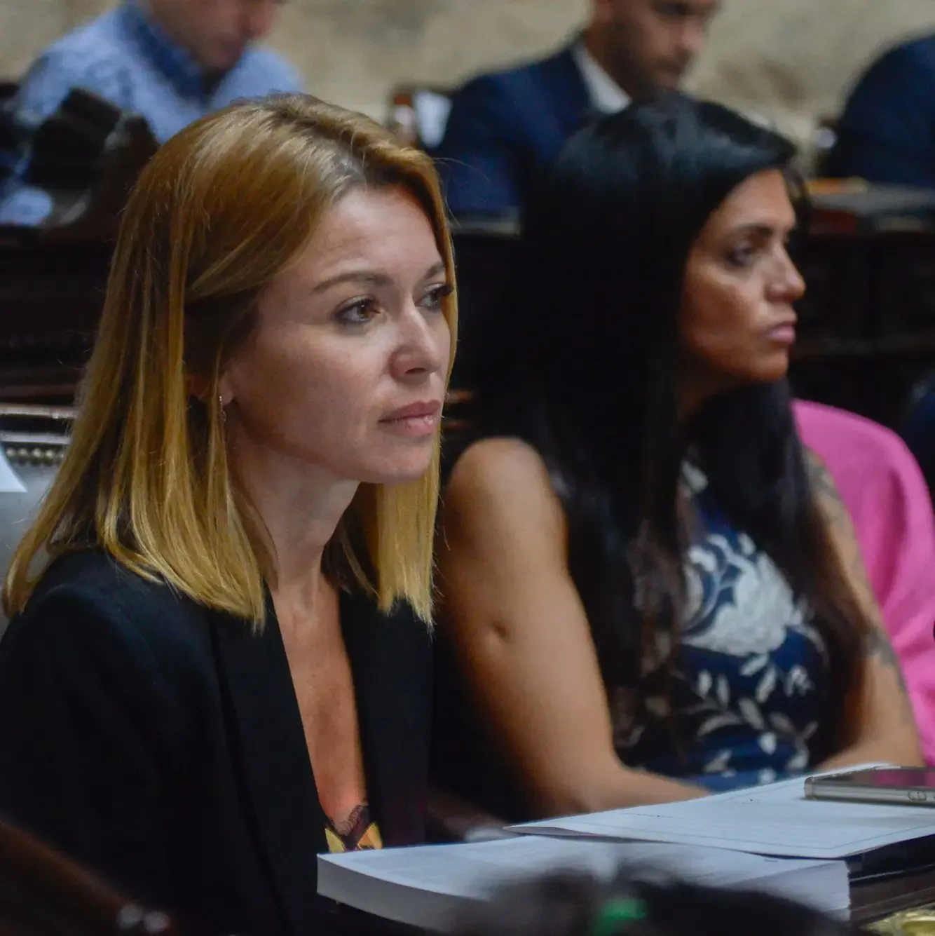 Gabriela Estèvez en diputados