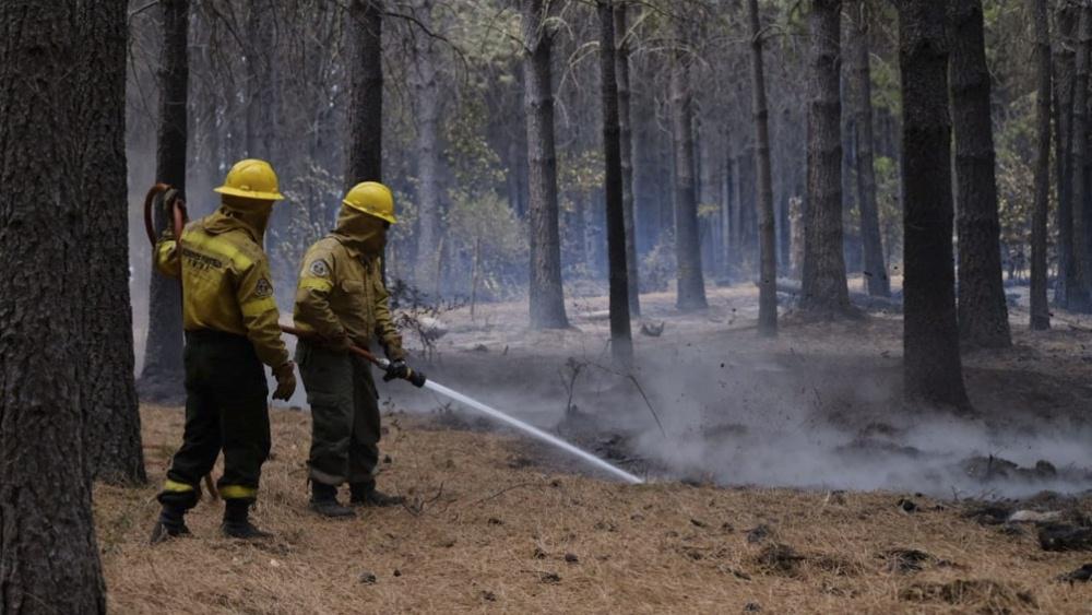 Incendios en el sur by Télam