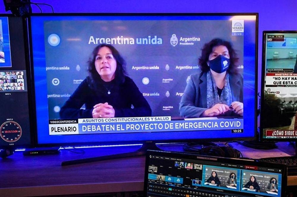 Ibarra Vizzotti videoconferencia Ley de Emergencia Covid en el Senado