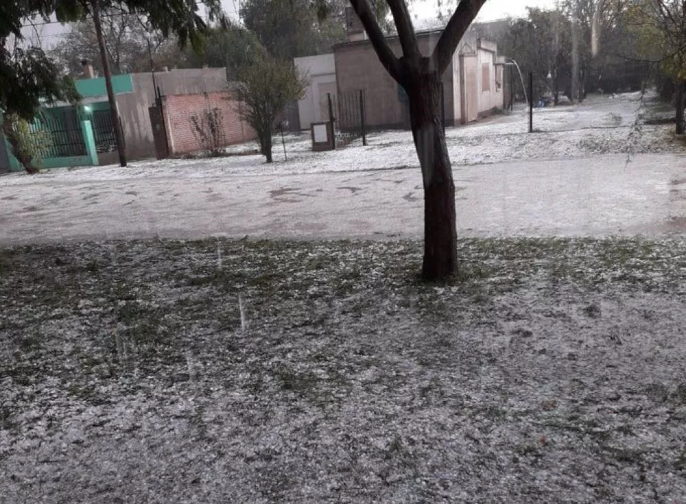 Granizo en Oncativo 2 by gentileza