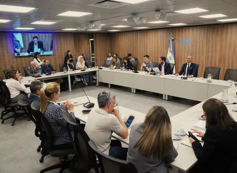 Comisión Investigadora Libra (X de Diputados) 3