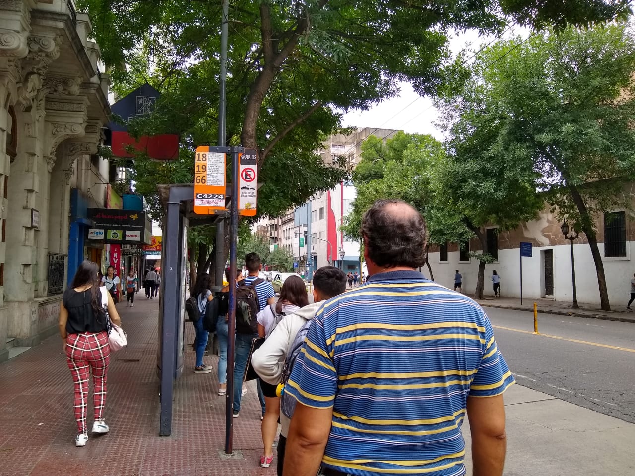 colectivos transporte by LNM