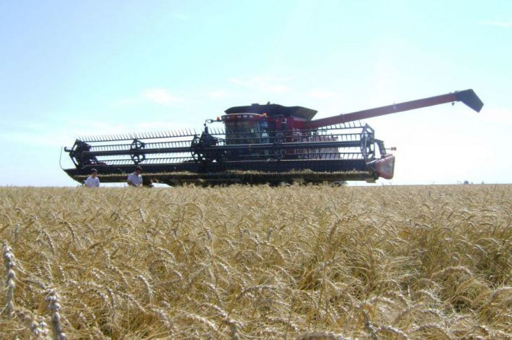 campo productores agropecuarios gentileza