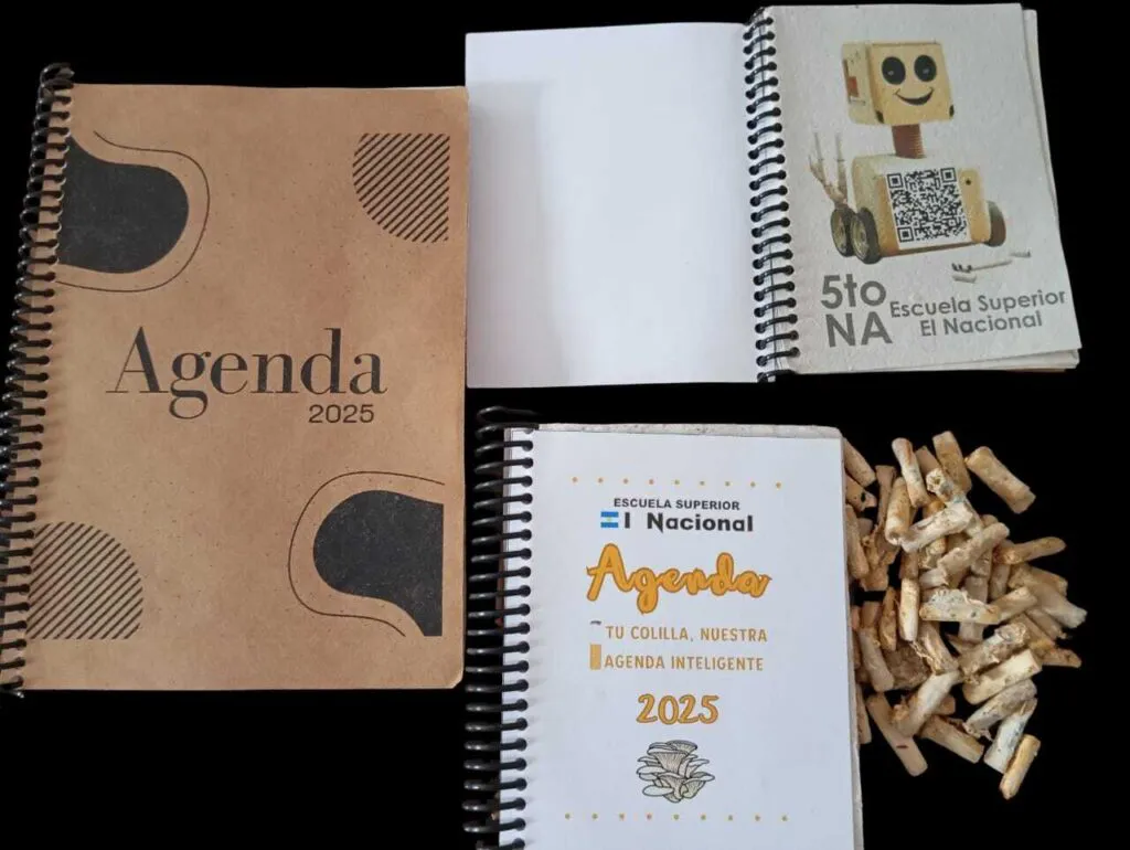 Proyecto estudiantil Tu colilla de La Carlota (Gobierno de Córdoba) 3