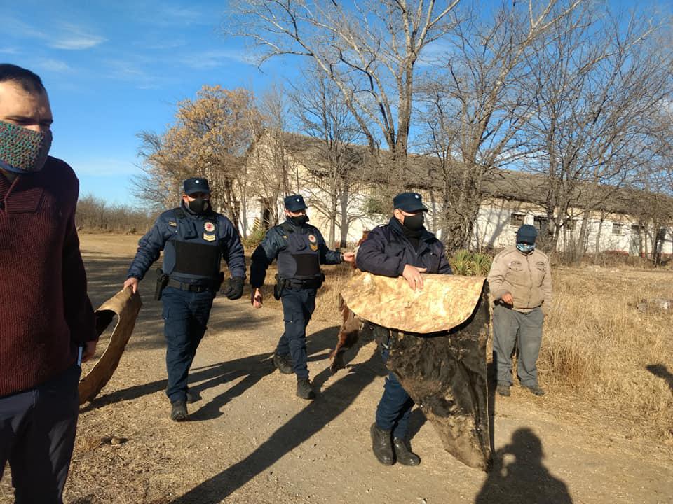 refugio libertad