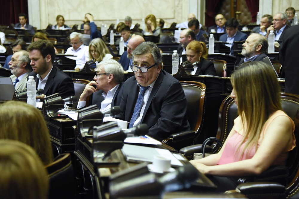 Mario Negri Diputados NA