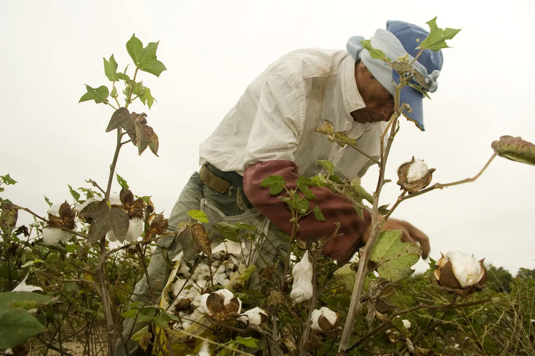 Trabajo rural (Senasa)