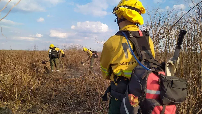 Bomberos combaten incendios (Segui Noticias)