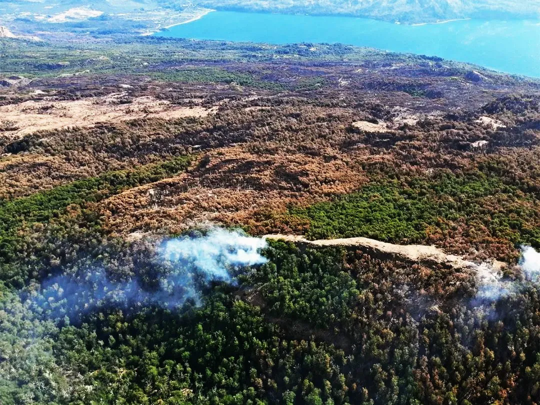 Incendio en el Parque Nacional Los Alerces (Instagram PN Los Alerces)