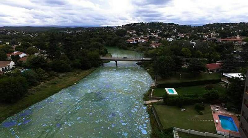 lagocontaminado1