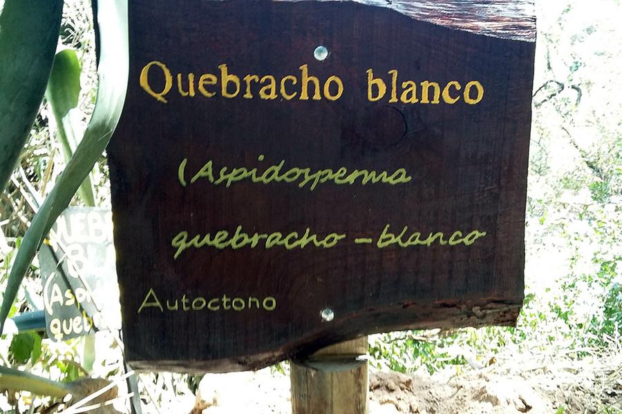 Jardín Botánico