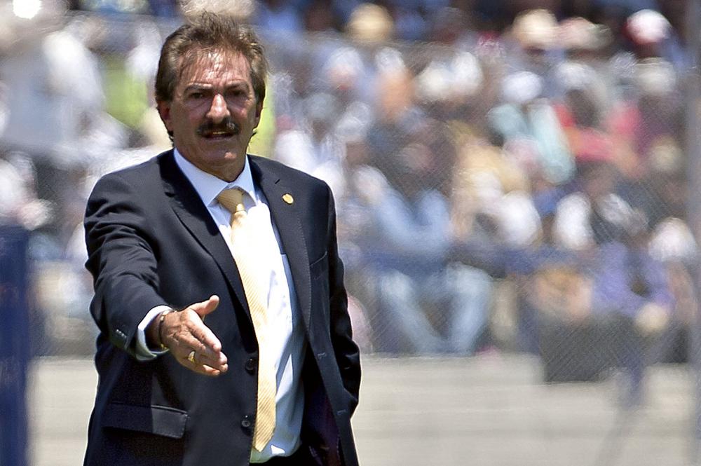 la volpe