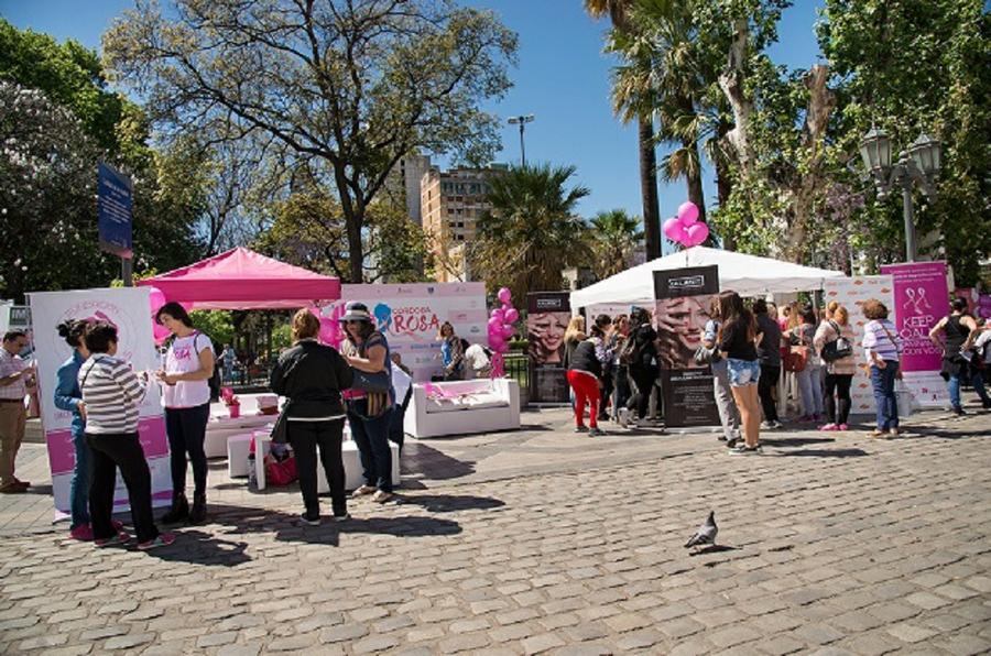 Córdoba Rosa Gob Cba 01