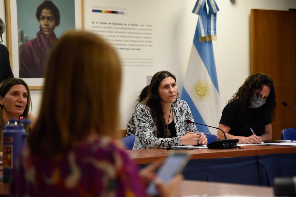 Diputados