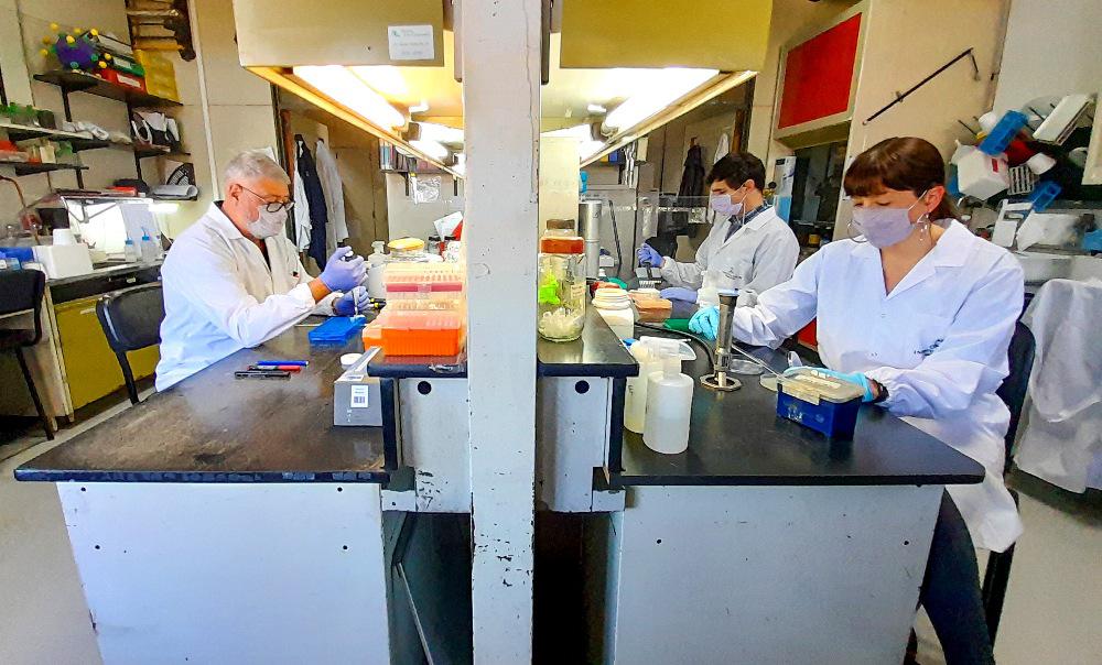 vacuna argentina contra el coronavirus by Télam