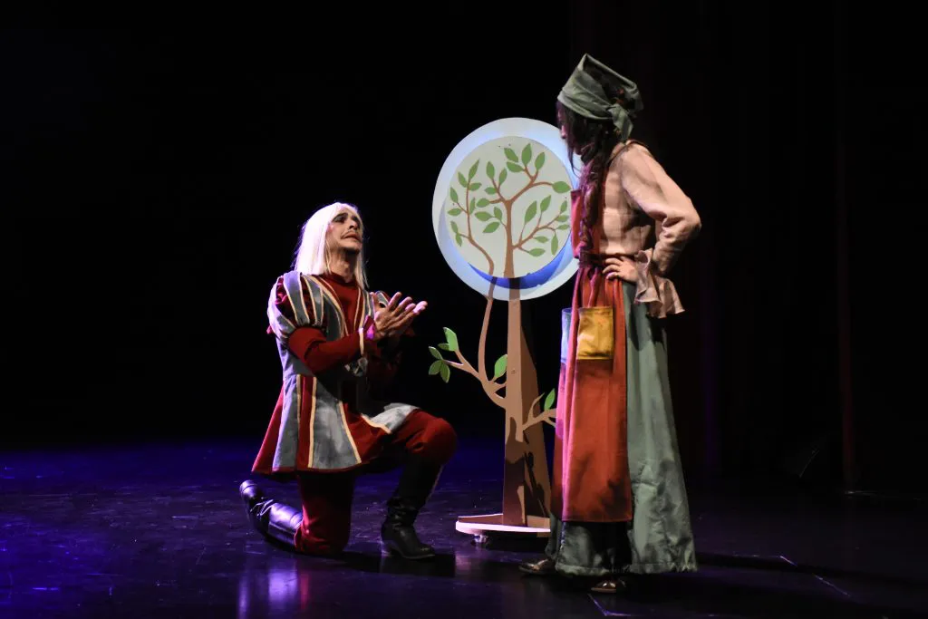 Cenicienta desencadenada (Agencia Córdoba Cultura)