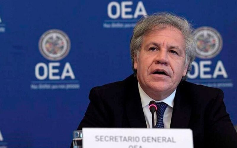 Luis Almagro gentileza