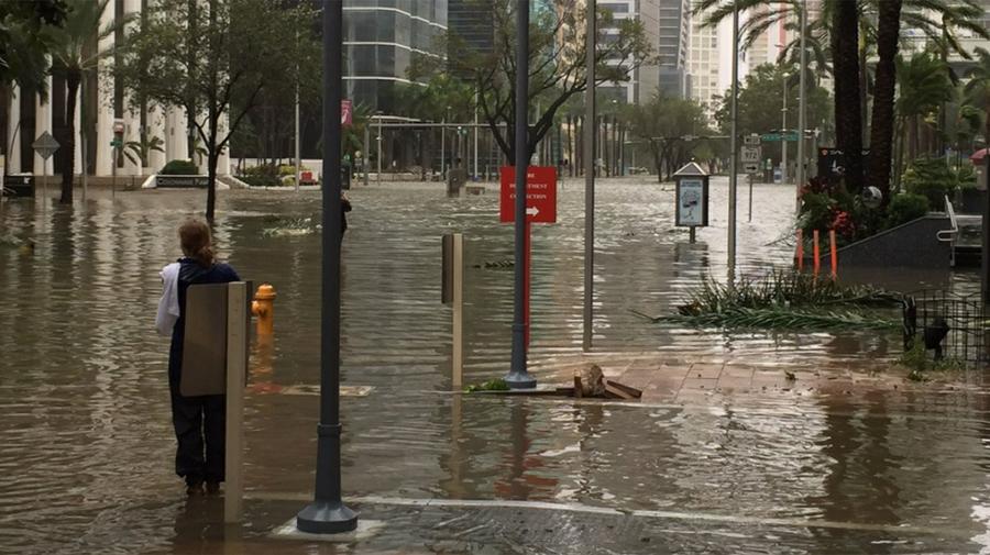 Galeria-Huracan-Irma-Miami-8