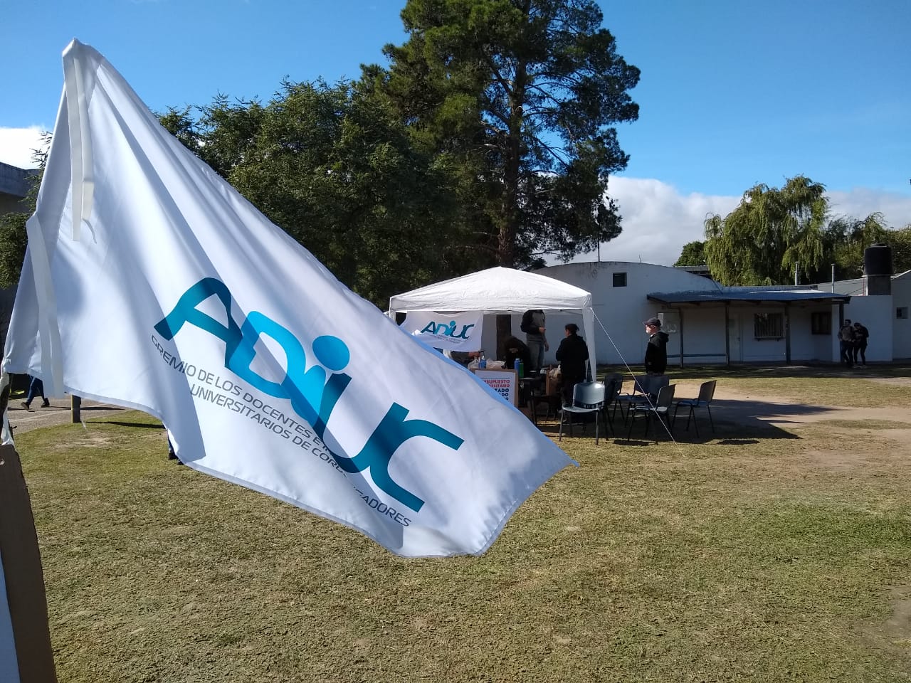 carpa adiuc by Igna LNM