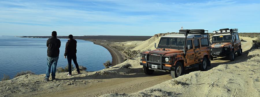 Madryn00013