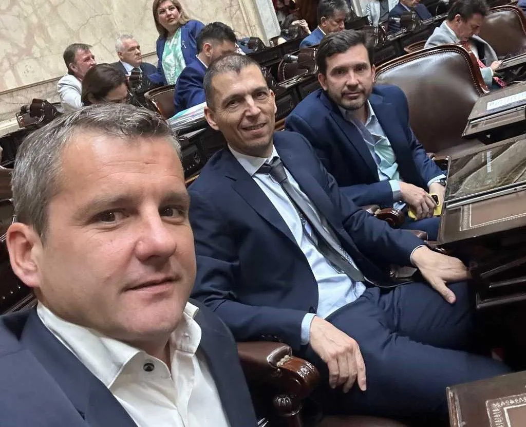 Radicales peluca NA