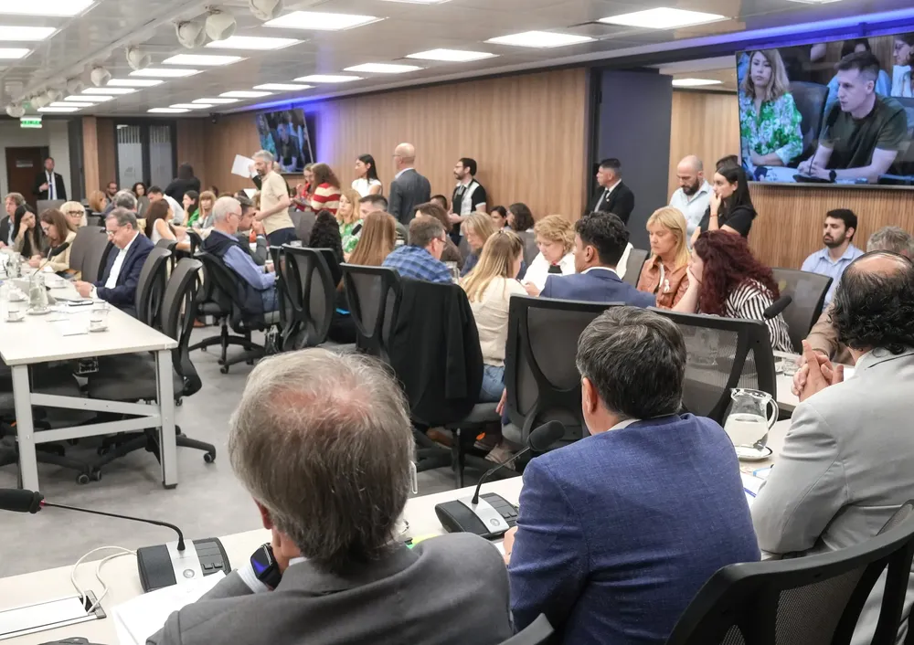Proyecto de reforma de la Andis en Diputados (X de Diputados)