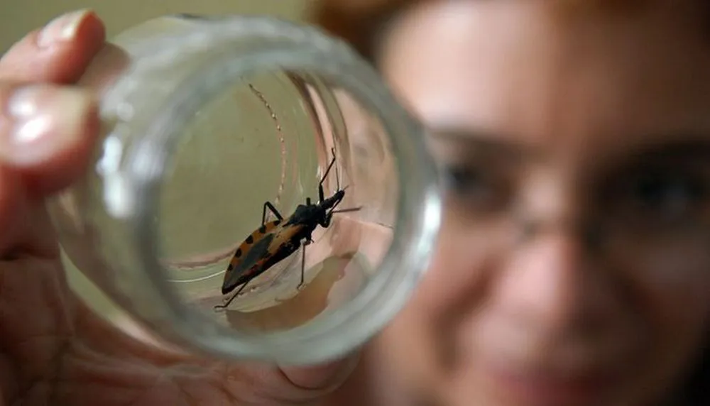Chagas-3