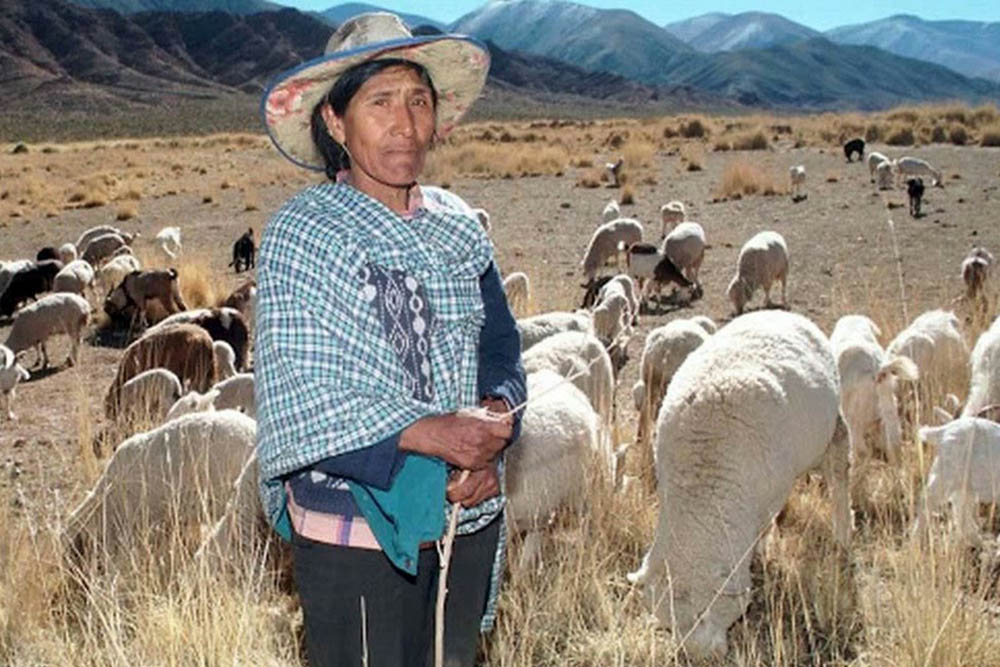 Eulogia Tapia