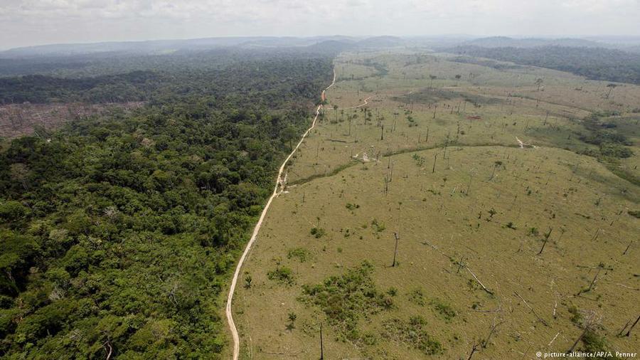 amazonas desforestada @dwnews