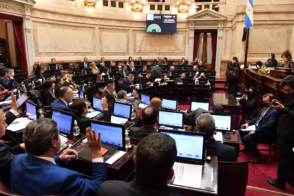 Debate en el Senado de la Nación (Twitter Senado de la Nación)