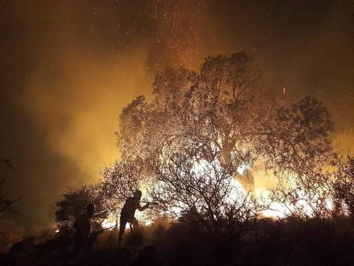 incendio Tala Cañada by gentileza