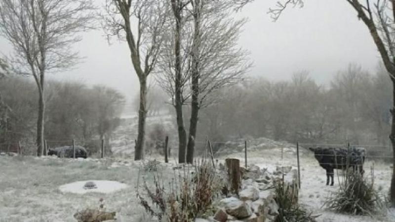 nevada altas cumbres