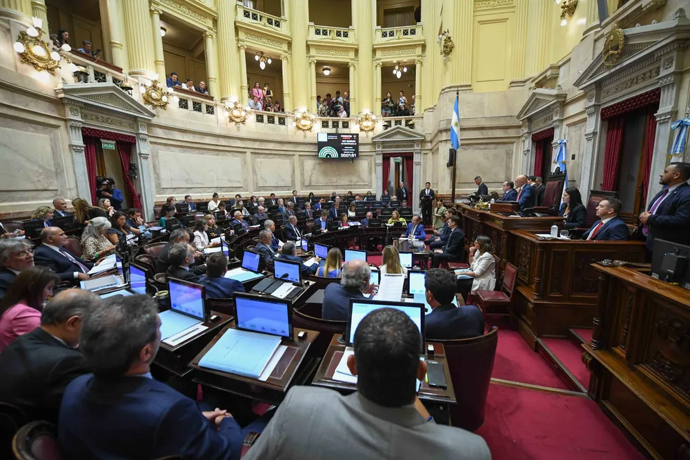 Cámara de Senadores de la Nación (X del Senado)