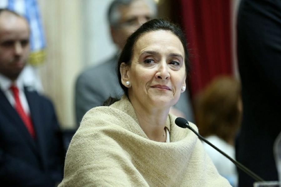 Michetti en el senado @GabiMichetti1