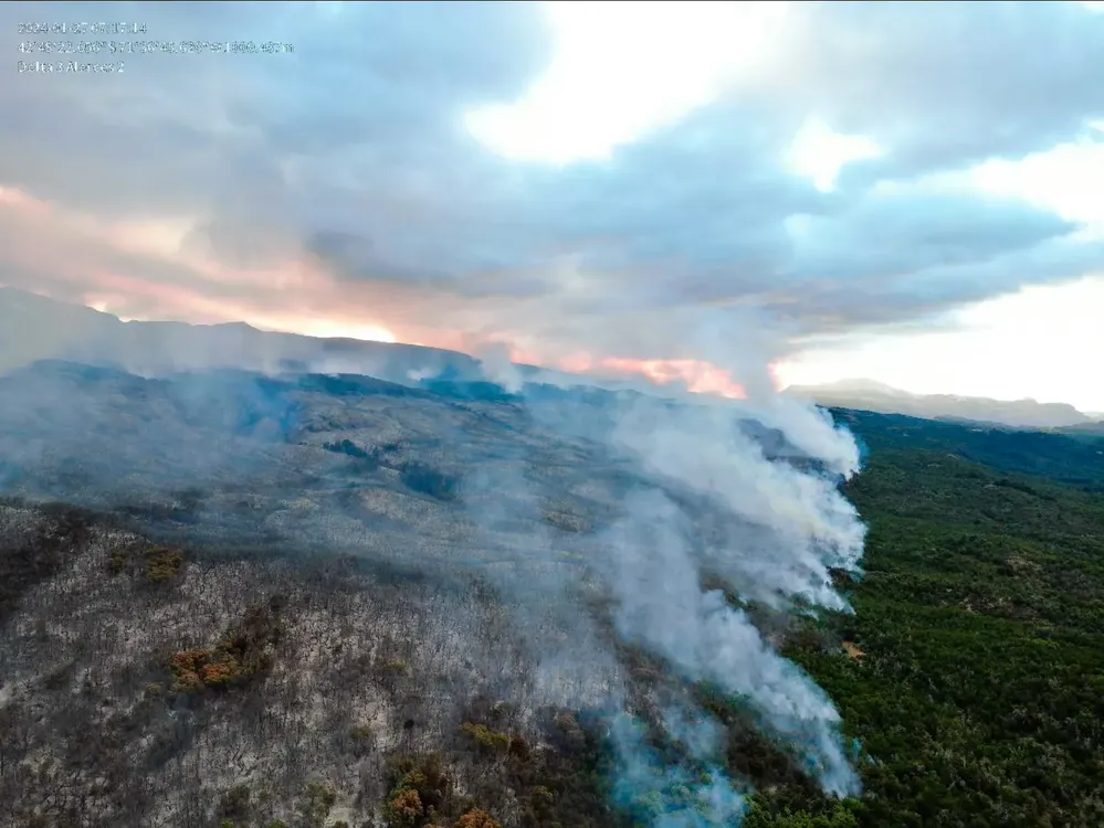Incendio en el Parque Nacional Los Alerces (Telam)