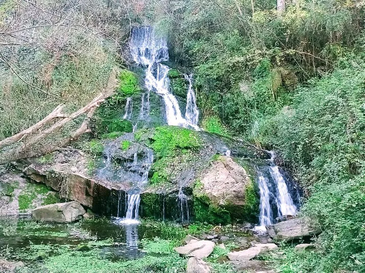 la cumbre 2