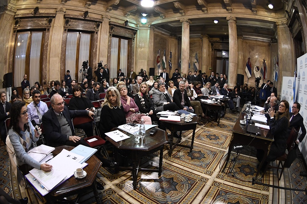 Senado aborto prensa