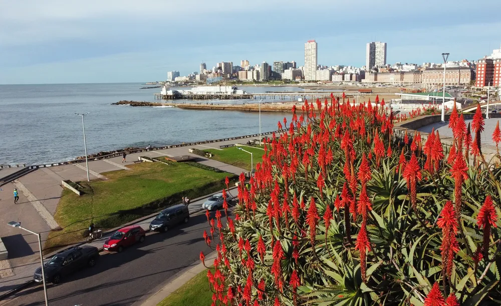 Mar del Plata (Turismo Mar del Plata)