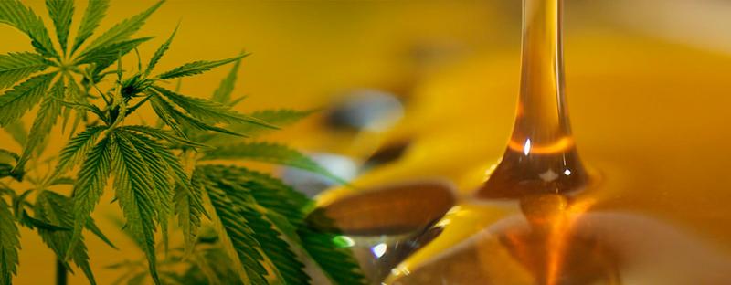 aceite-cannabis-para-tratar-fibromialgia