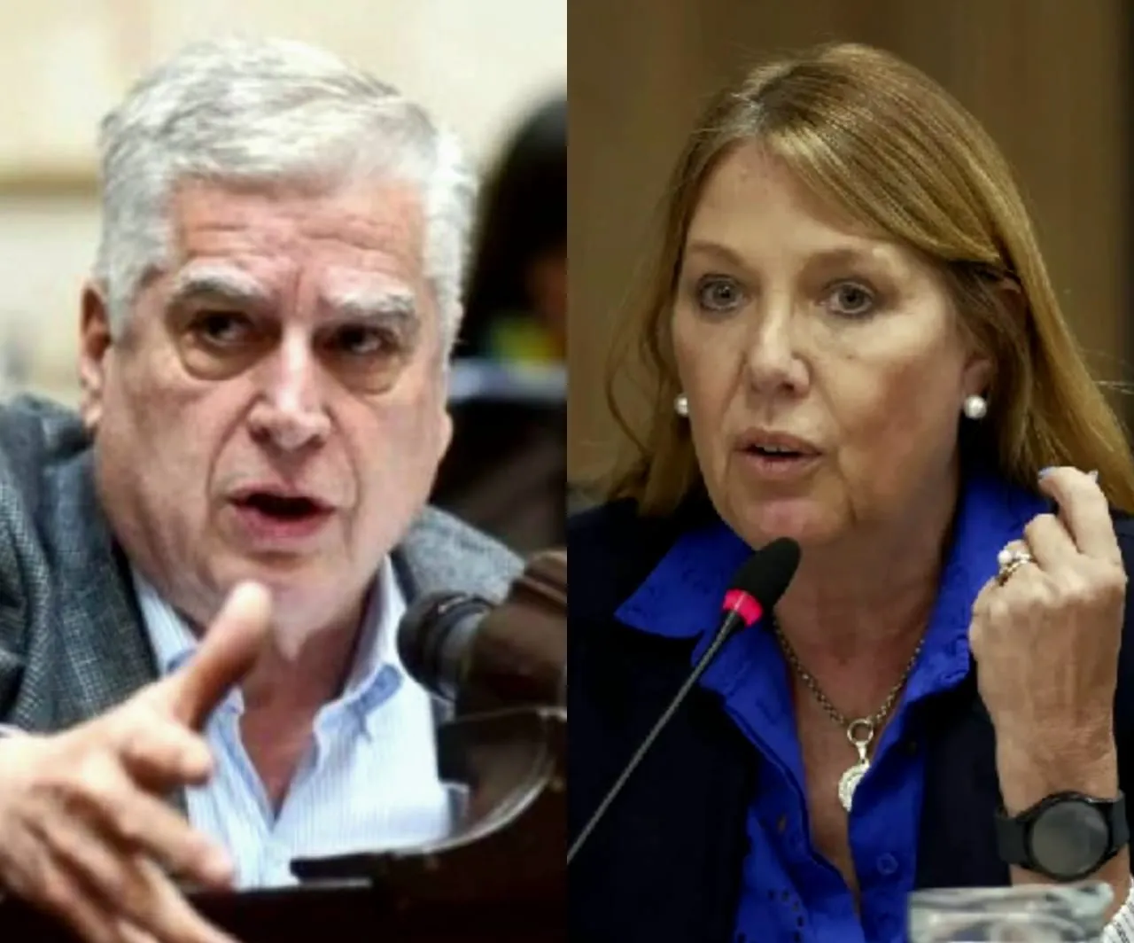 Carlos Gutiérrez y Alejandra Torres (gentileza)