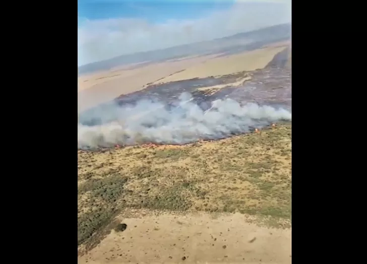 Incendio en Salsacate 03 (Ministerio de Gobierno y Coordinación de la Provincia) captura