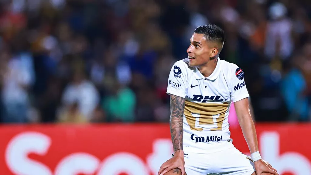 favio alvarez
