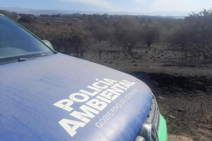 Remediacion-Incendios-PA-1