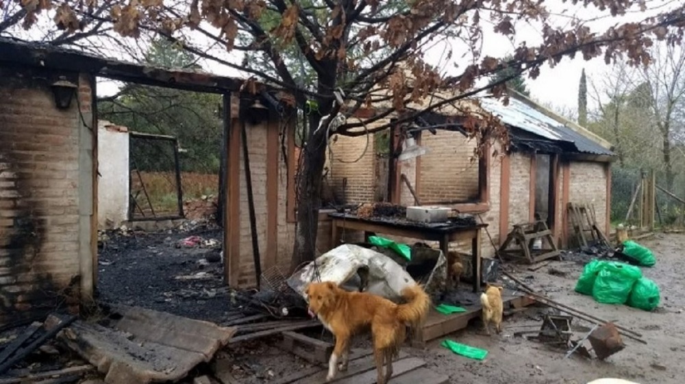 Perros calcinados by Pilar a Diario