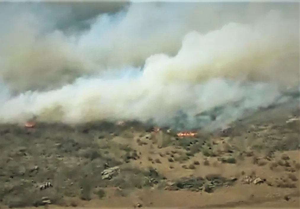 Incendio en Panaholma (captura)