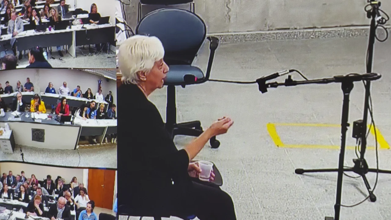 Declaración de Liliana Asis en el juicio del Neonatal (Cba24N)