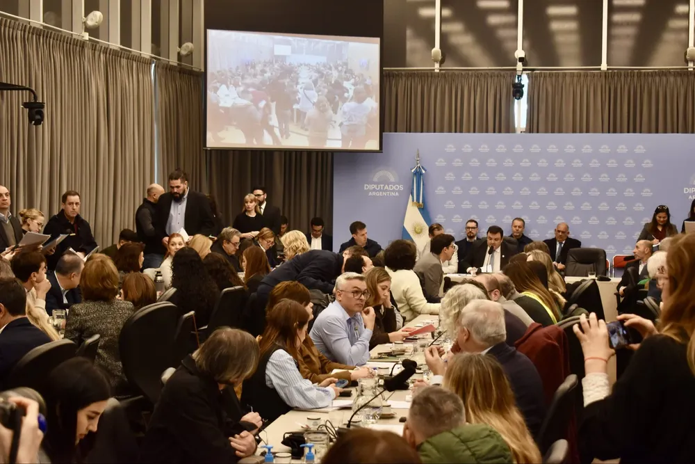 Plenario de comisiones por la prórroga de la Ley de Emergencia en Discapacidad (X de Carolina Basualdo)