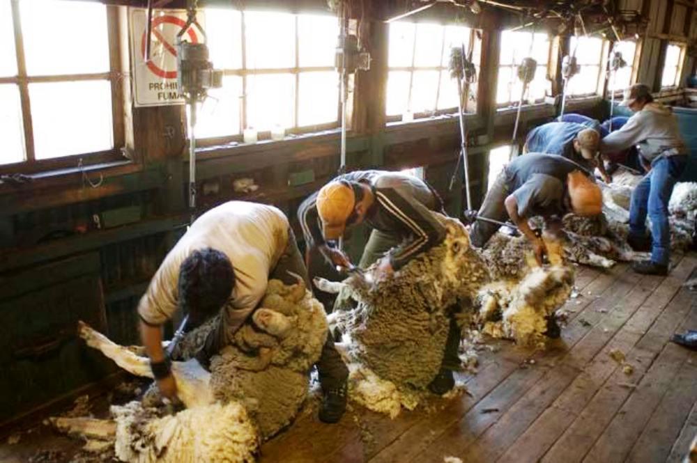 trabajadores rurales by Uatre