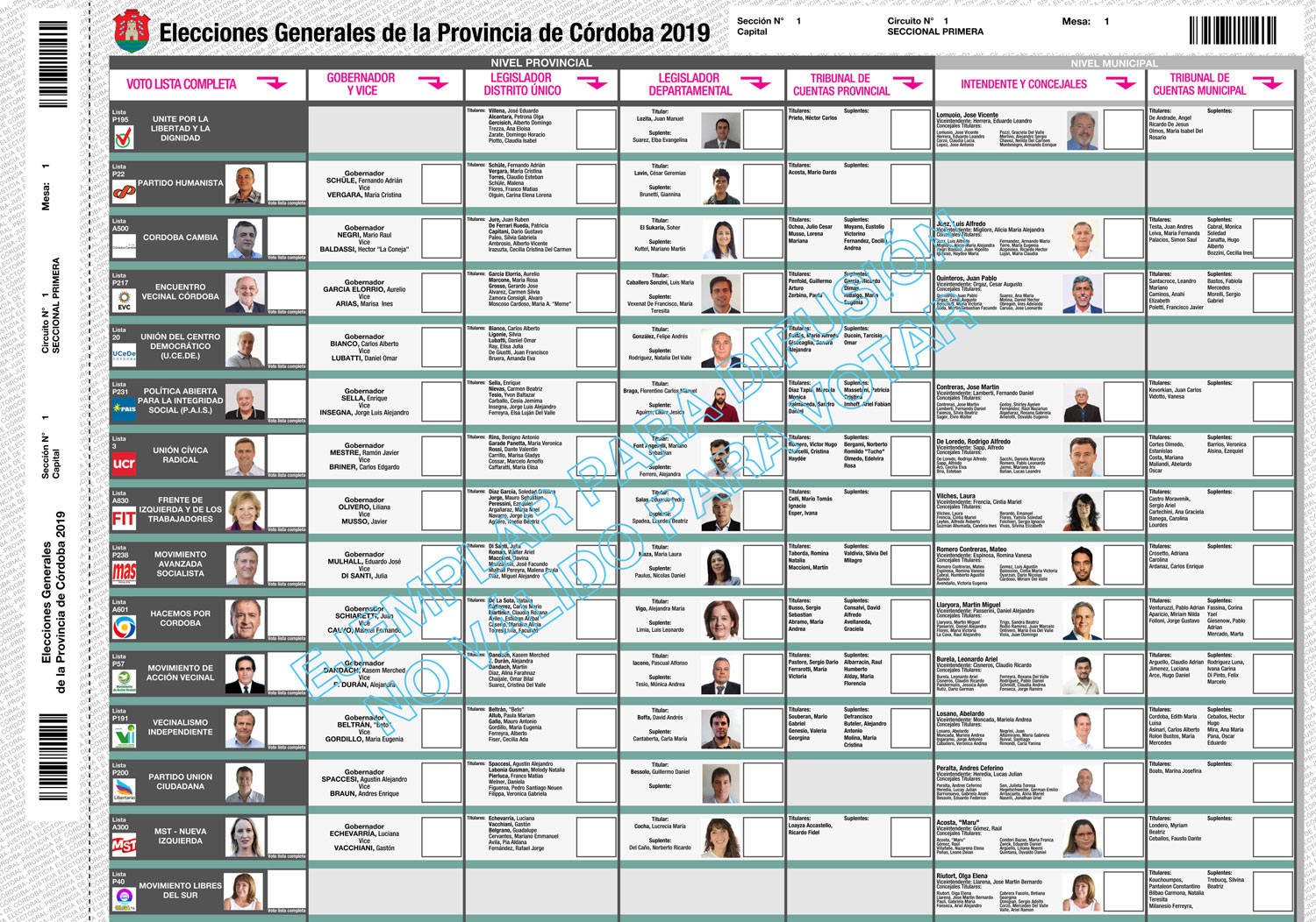 Boleta única