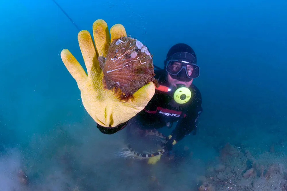 Copia de Díaz de Pesca (1)